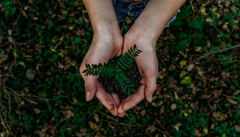 Compostable Packaging
